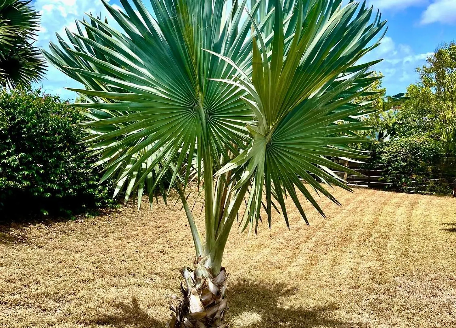 Villa KAZ avec jardin Cul de Sac 0*,